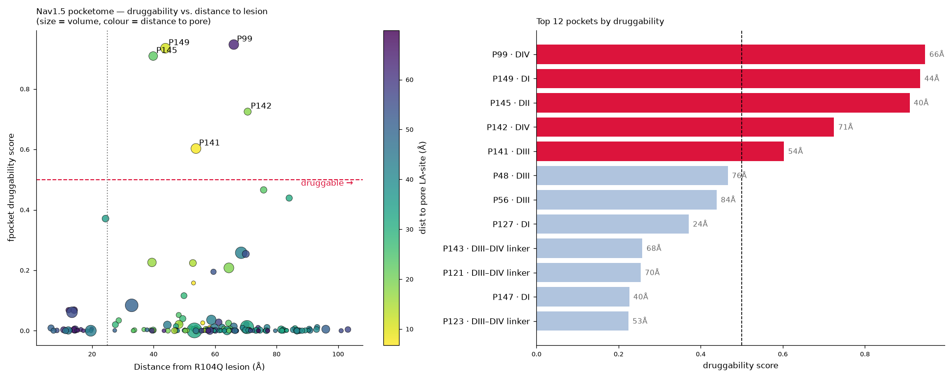 Scatter and bar plots of the Nav1.5 pocketome, scoring pocket druggability against distance from the lesion.
